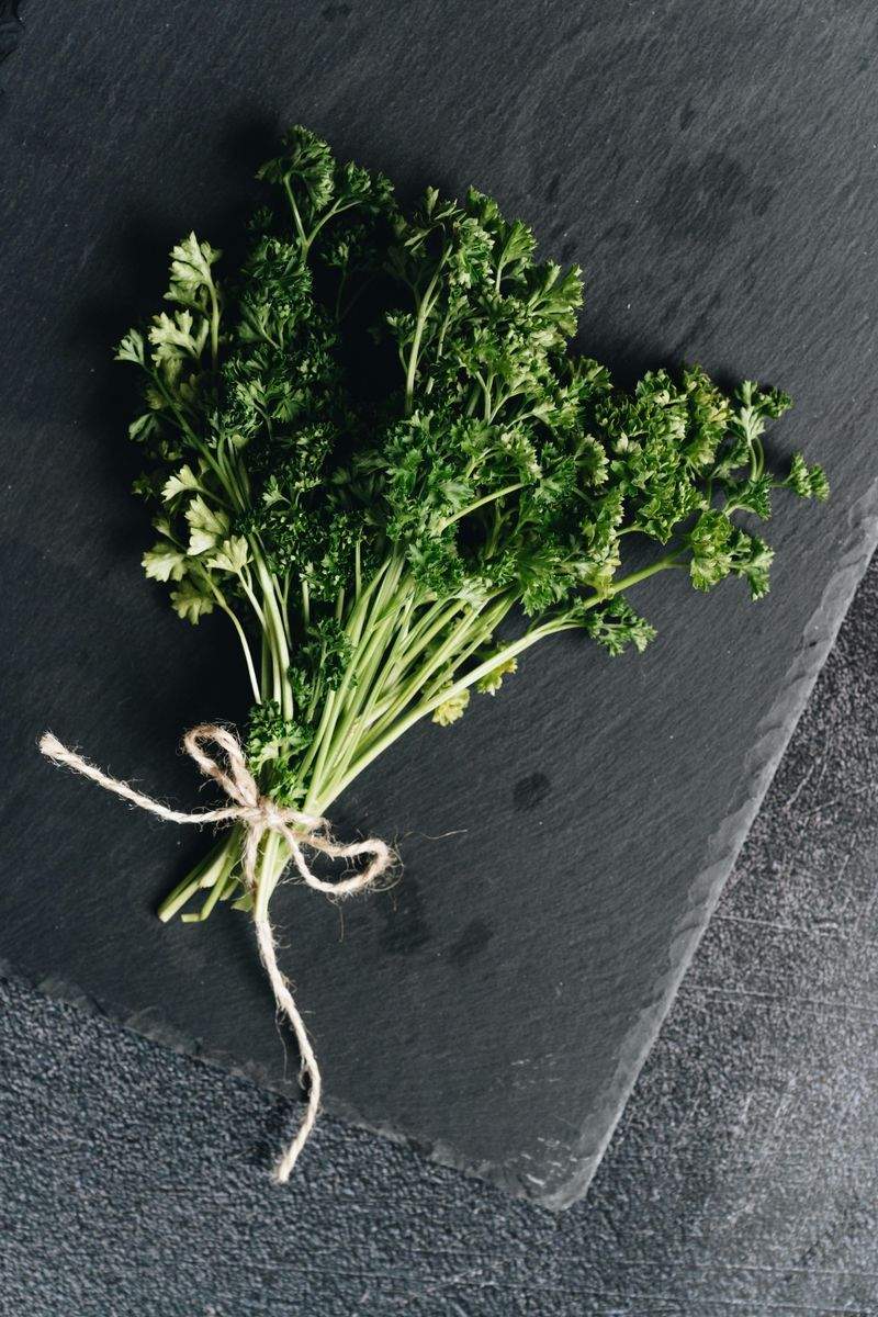 Verkauf von Bio-Kräutern